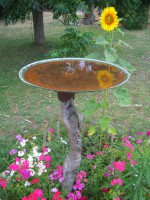 /album/primavera/girasol-en-la-fuente-jpg/